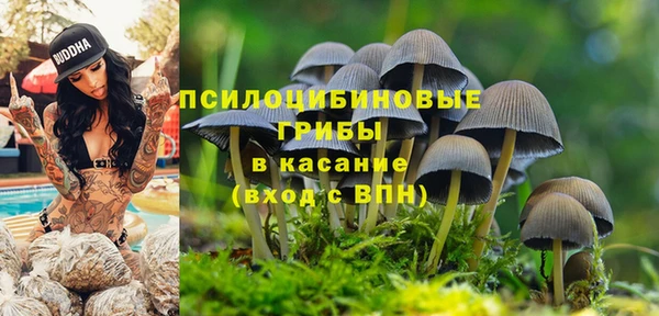 spice Володарск