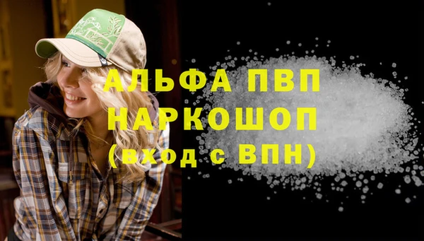 ПСИЛОЦИБИНОВЫЕ ГРИБЫ Бородино